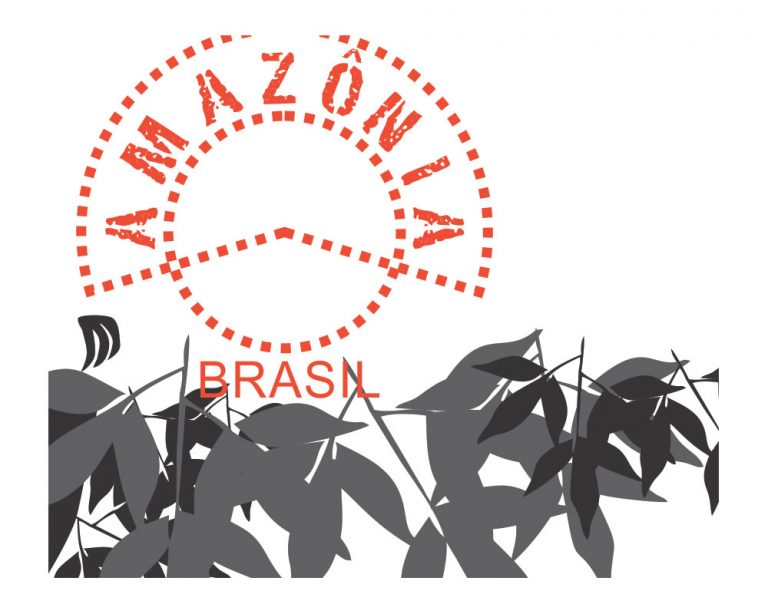 Coleção de camisetas temáticas