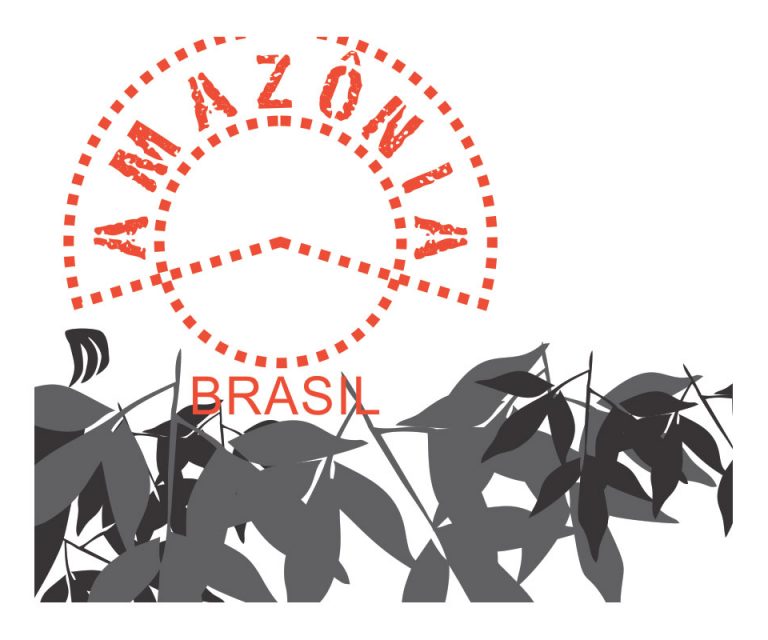 Coleção de camisetas temáticas