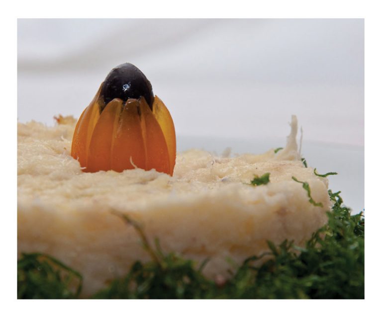 Fotografia – Boa Mesa