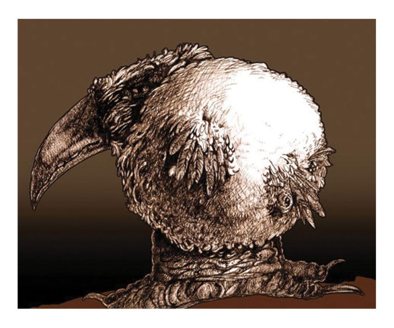 Pajaro Loco