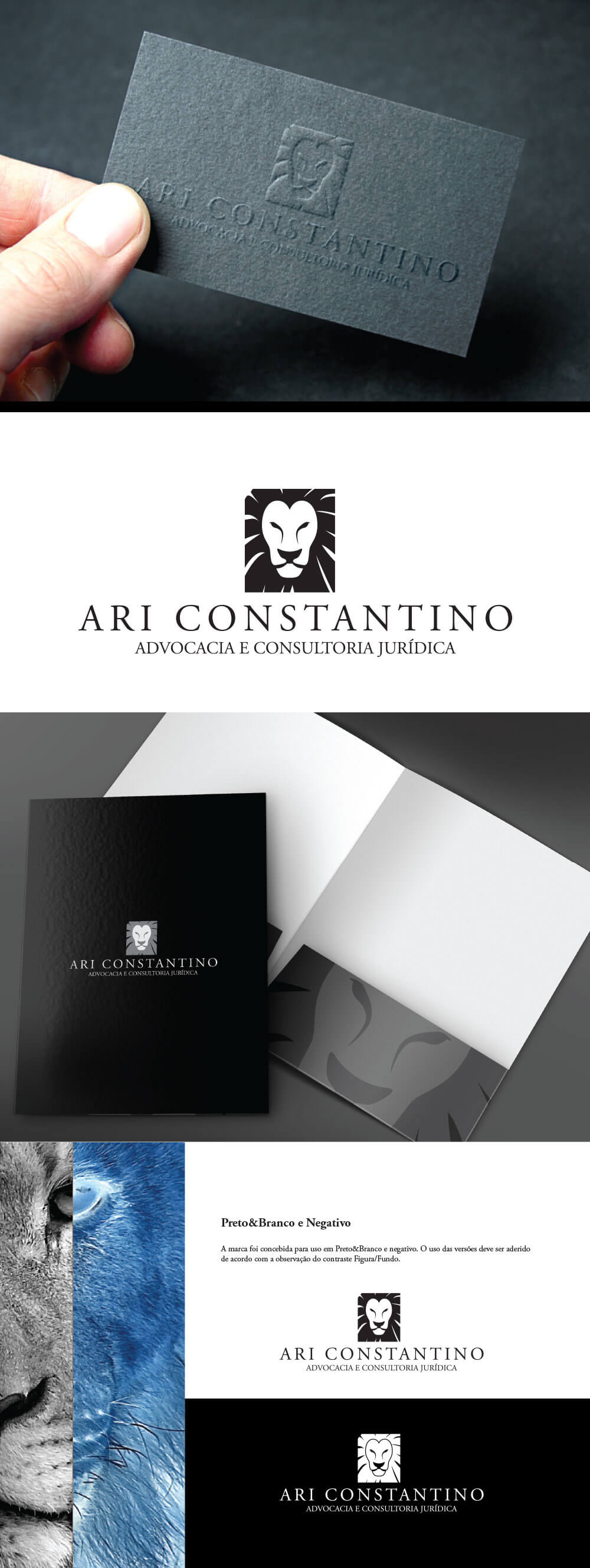 Ari Constantino – Logomarca