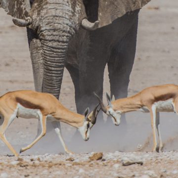 Marketing digital e os resultados: desdobramentos das ações na web