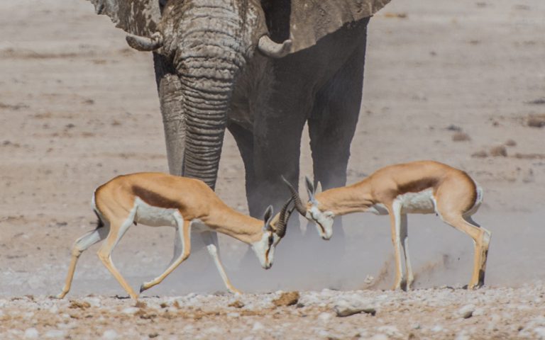 Marketing digital e os resultados: desdobramentos das ações na web